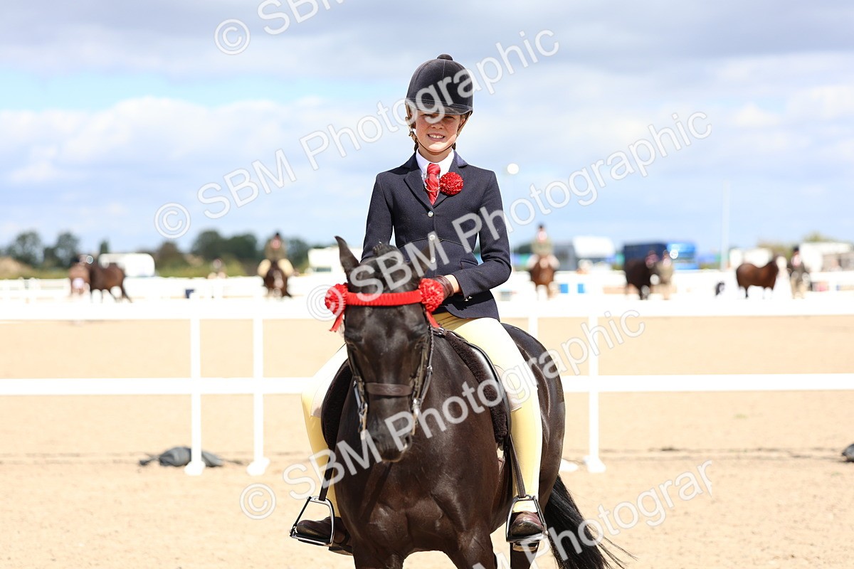 SBM_13302 - Class 311 - Ridden Show Pony Show Hunter Pony