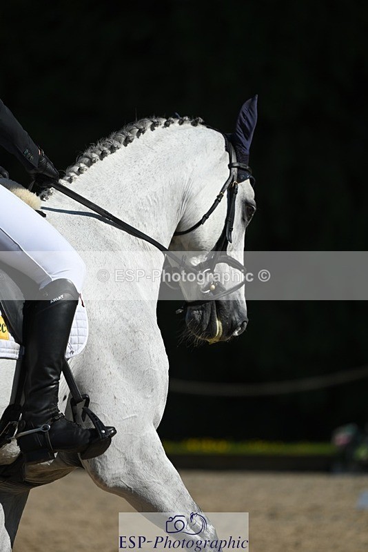 230526-171149-07527 - 261-COOLEY_NOW_OR_NEVER-Georgina_Herrling-WEDTrotUp+DR