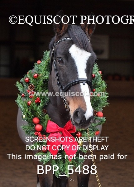 BPP_5488 - Morag Johnston