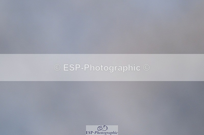 250125-092323-00045 - Dressage - CT Class 1 & 2 Intro 1