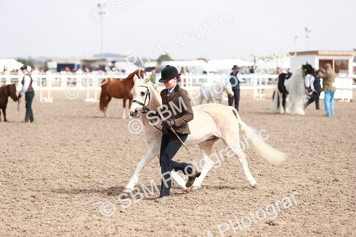 SBM_13939 - Class 209 IH Veteran Pony