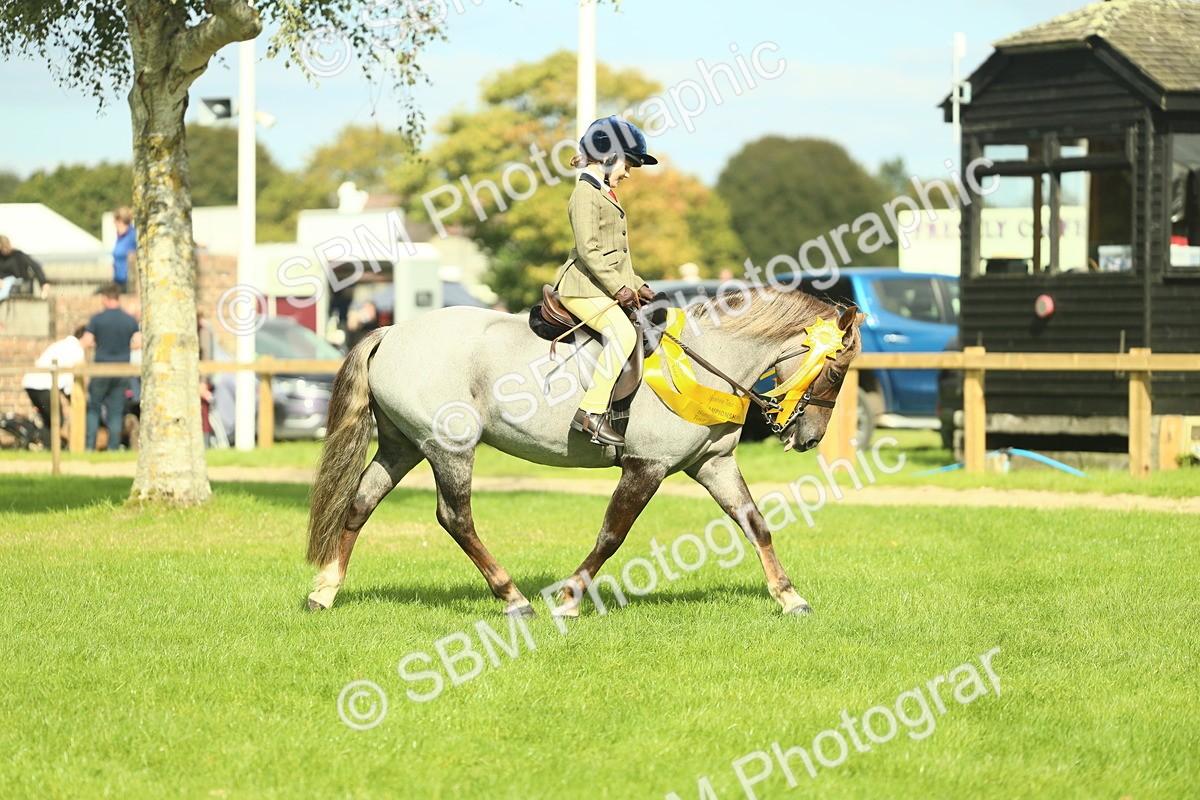 SBM_44891 - Working Hunter Pony Supreme Championship