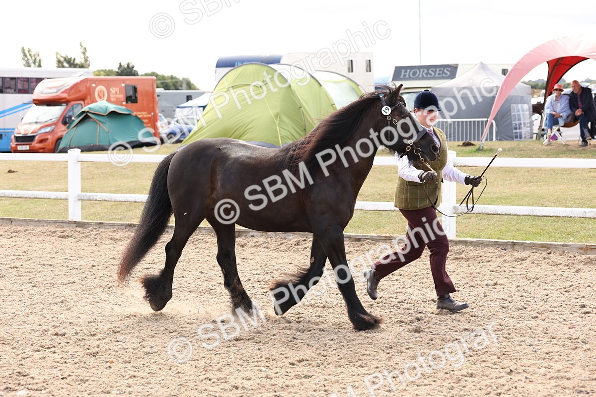 SBM_15081 - Class 209 - IH Veteran Pony