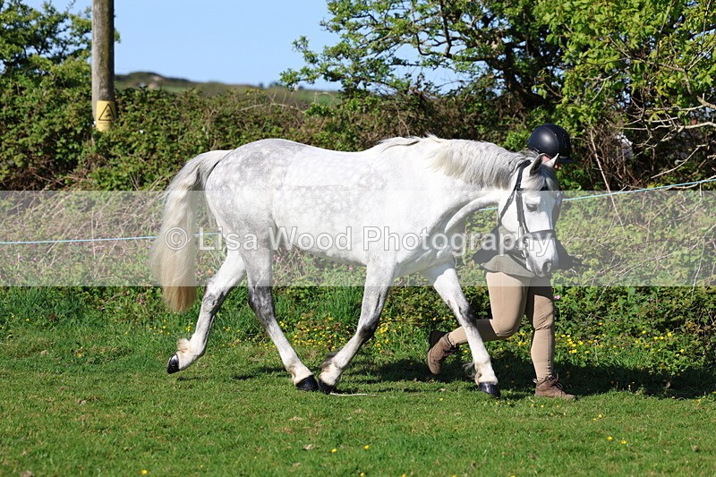 3E7A8585 - Class 13: M & M Large Breeds