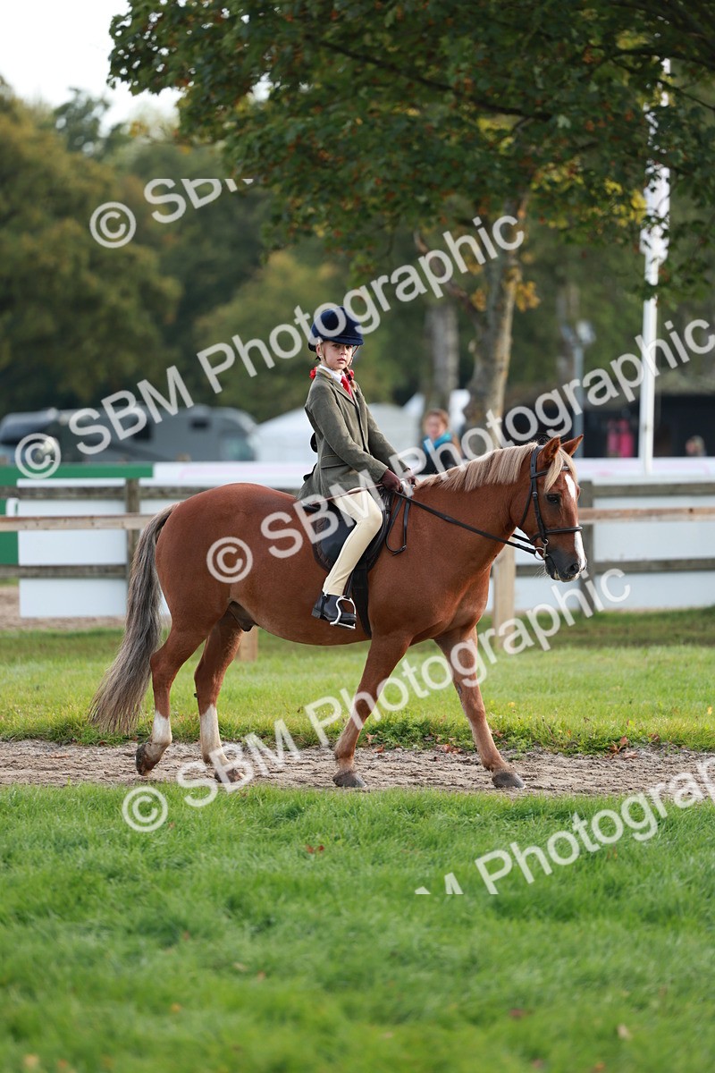 SBM_56282 - S39 - Starters In Hand Showing