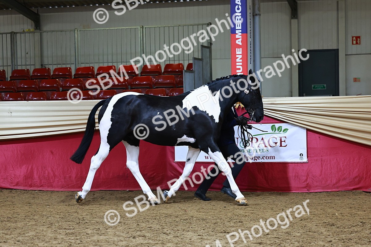 SBM_23035 - Supreme Final - IH  Champ