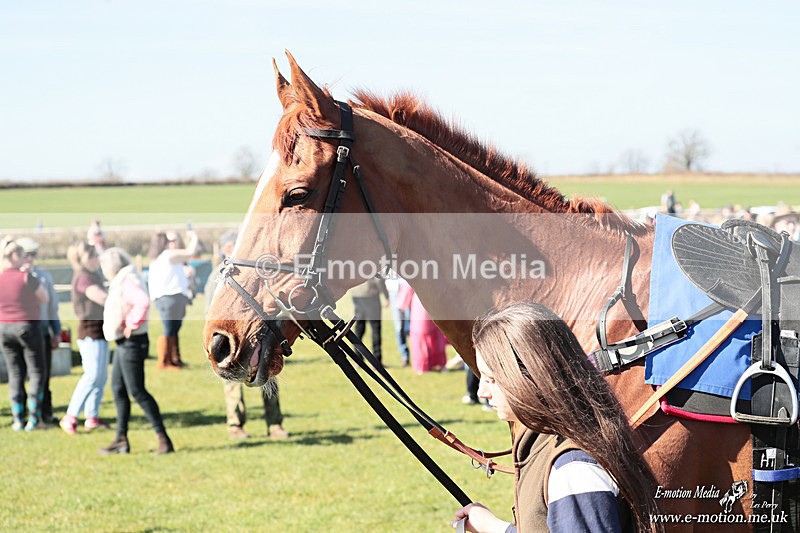 PtP 210326 20 - VWH Cirencester Races 21/03/26