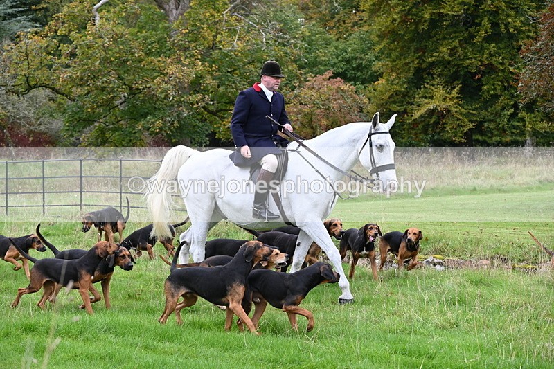 WJ6_0084 - Camera 2 Meet