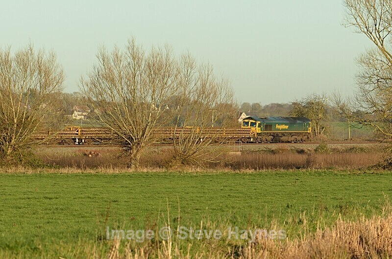 19th Jan 2020 - Curry Rivel (Oathe, Wick), Somerset