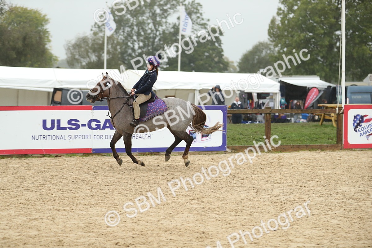 SBM_74150 - J16 - Junior Pony 75cm Championship