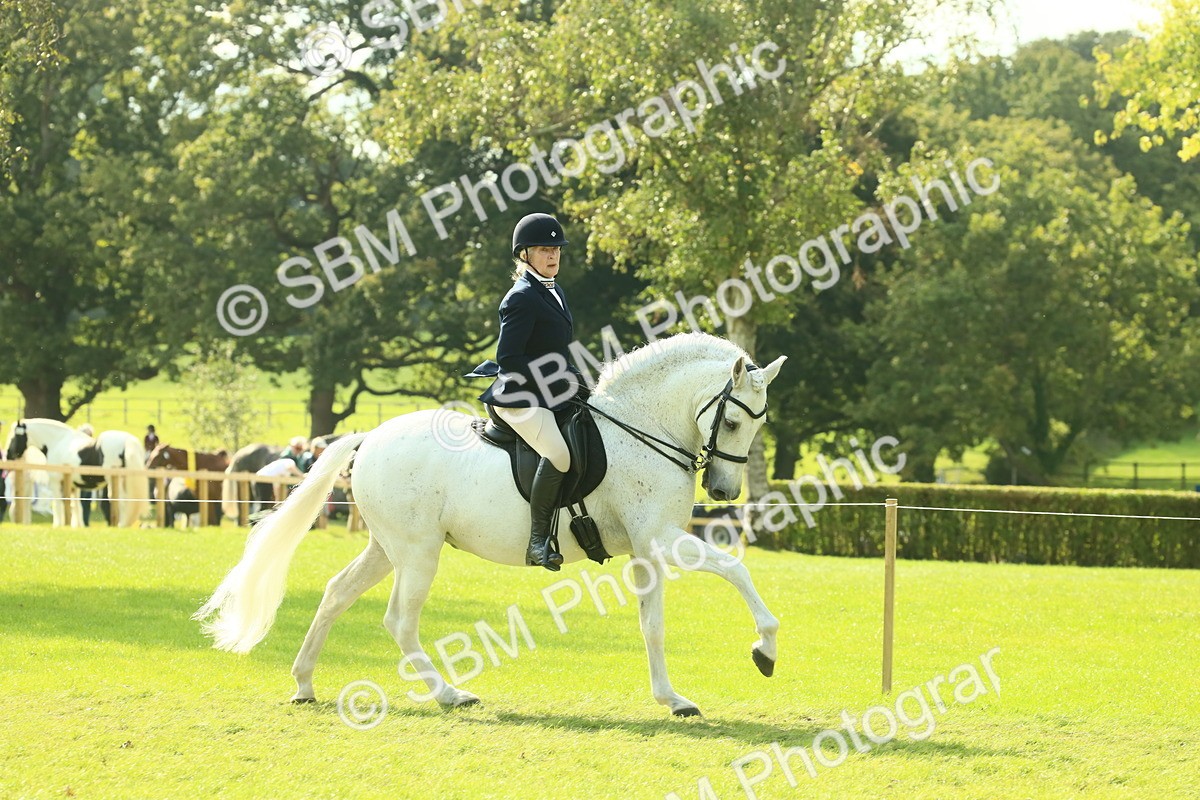 SBM_62400 - S62 - Foreign Breeds Ridden