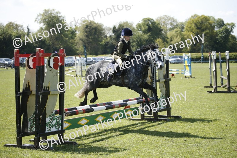 20250427-2321 - Class 13 - Novice Jumping 60cm