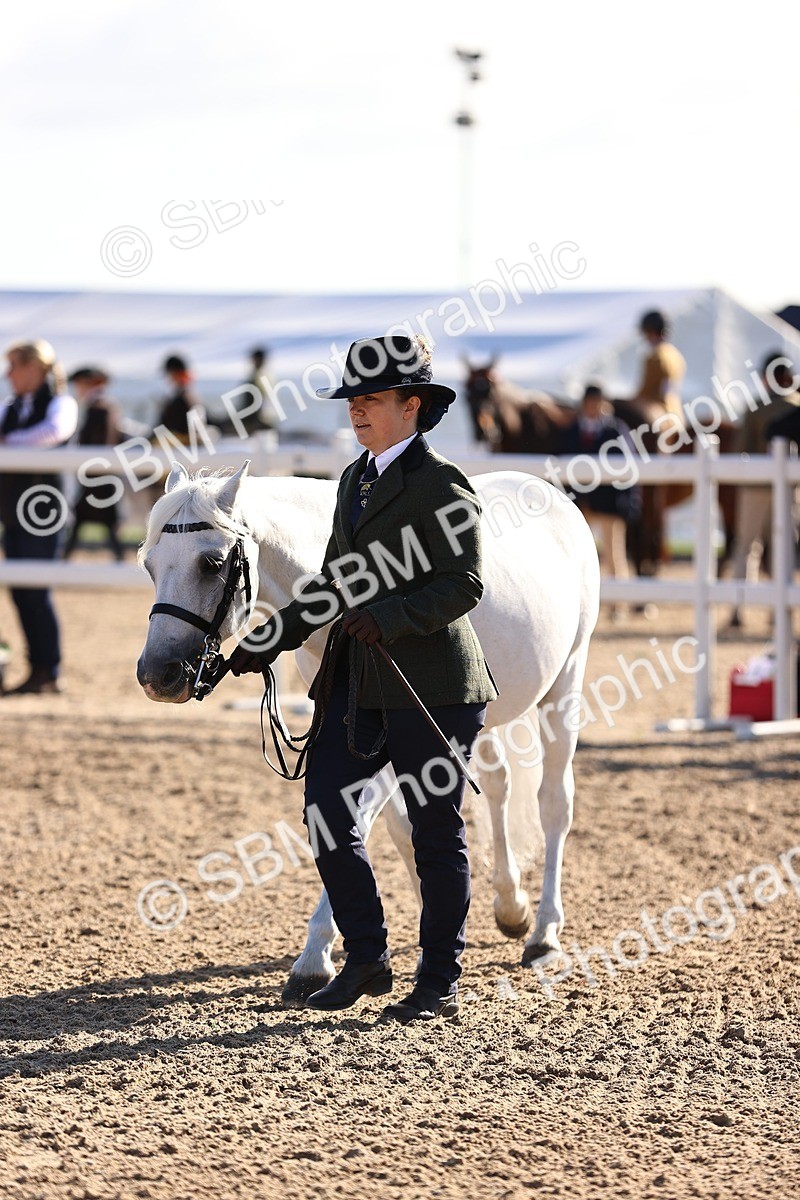 SBM_08494 - Class 402 - IH Veteran Pony