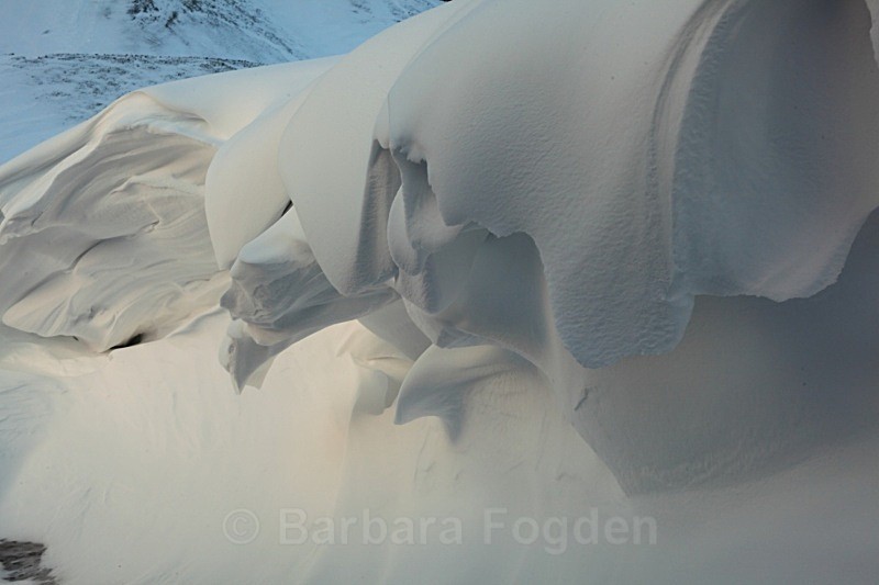 Snow in Bjonahamna 0037 - Winter in the daylight