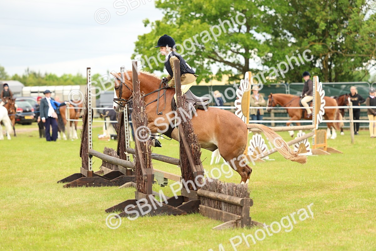 SBM_10234 - Class 44-45 - LIHS BSPS Open Nursery and Cradle Stakes