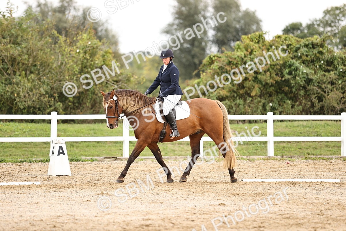 SBM_002711 - Prelim 1