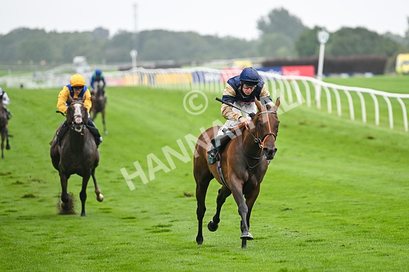 230725-Race 5-Bosphorus Rose-0460 - Race 5