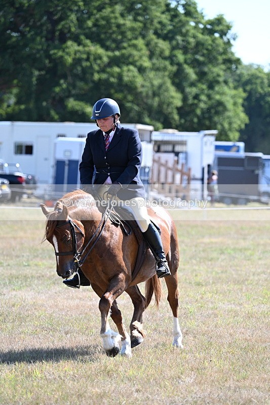 WJ7_3870 - Class 9 Mountain & Moorland Ridden