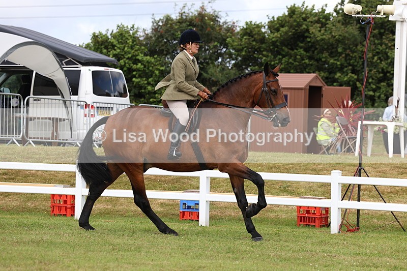 3E7A9322 - Class 4: Rising Star M/H Hunter