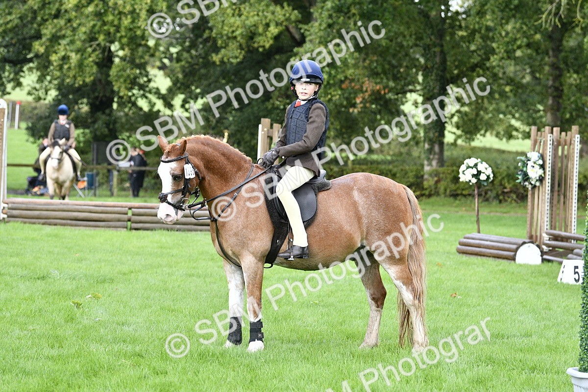 SBM_35414 - S30 - Nursery Stakes Working Hunter Pony