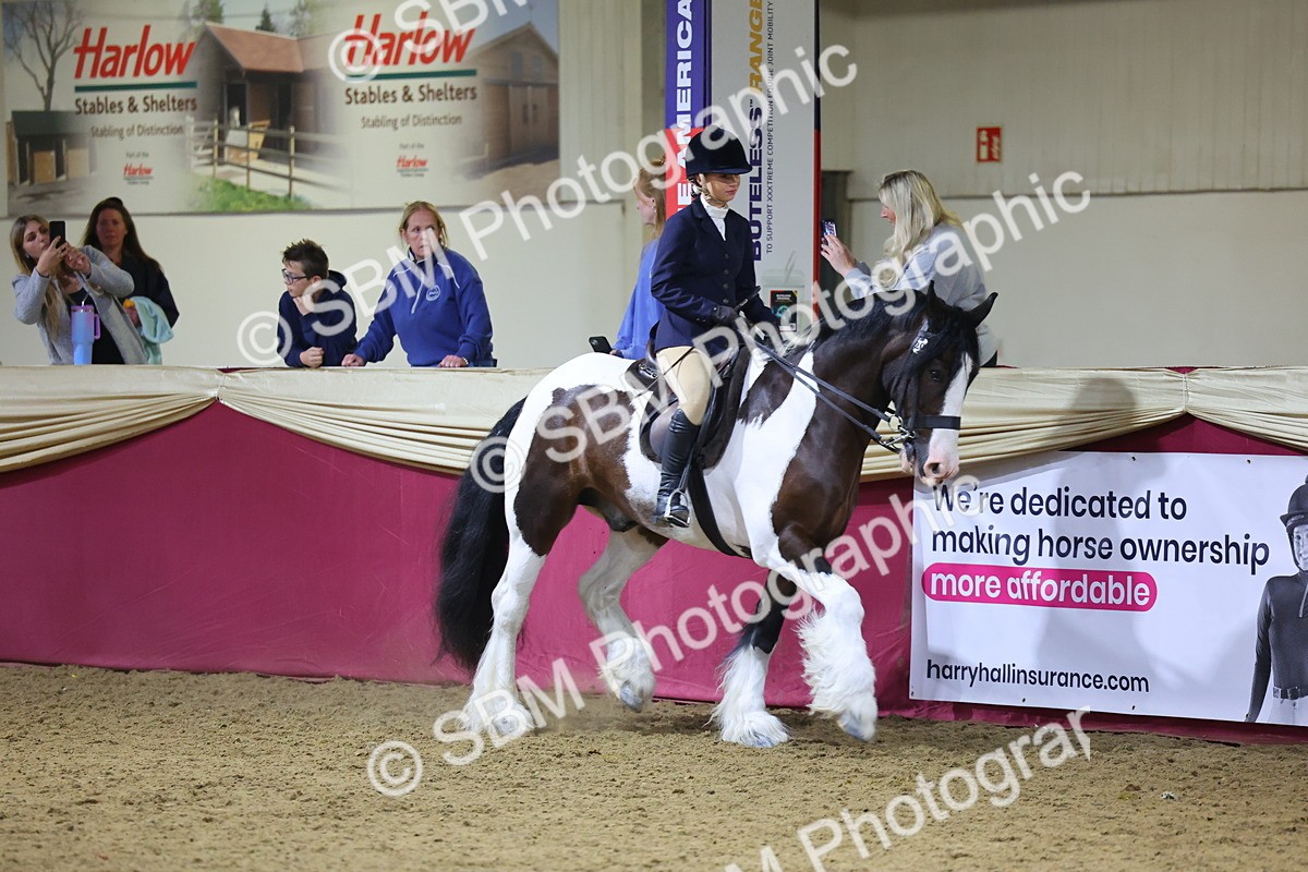 0B8A4626 - Class R Working Veteran Champ