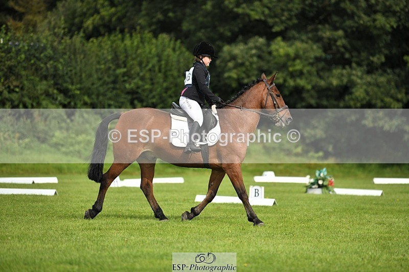 230826-101815-15434 - Sections C & D 10 to End