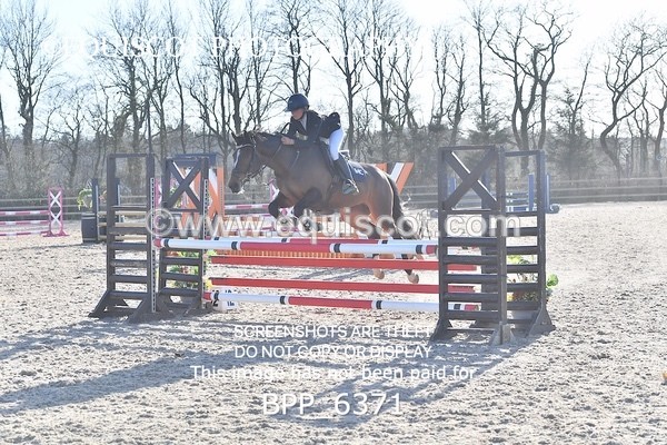 BPP_6371 - CLASS 9 SAT Pony Discovery / 90cm Open