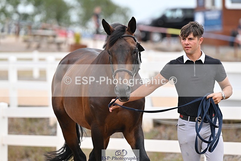 250716-160039-02341 - Trot Up 3.30 to 4.30