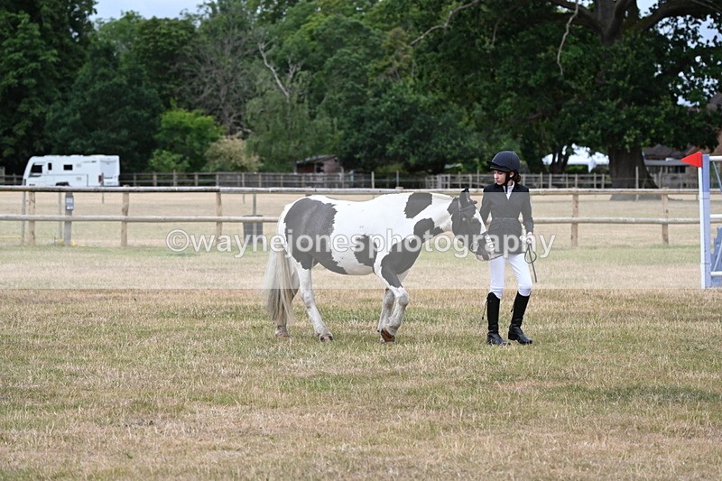 WJ6_4595 - Class 10 Coloured In-hand