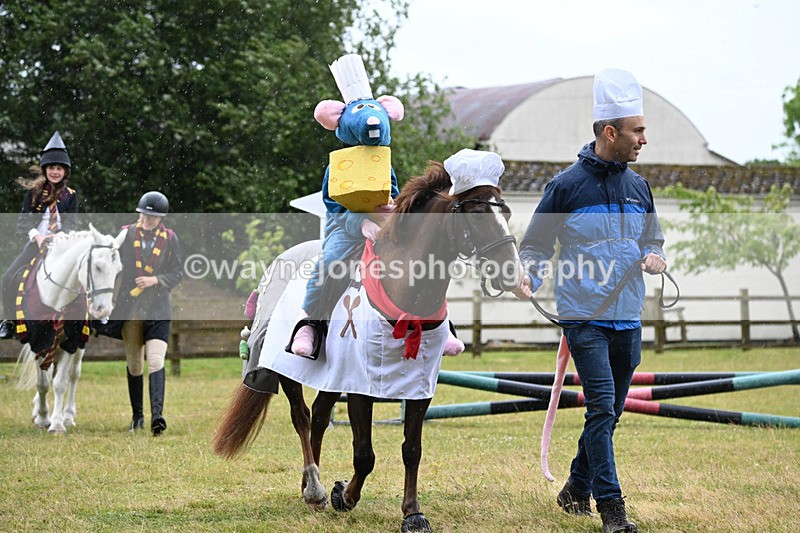 WJ6_9076 - Class 11 Fancy Dress