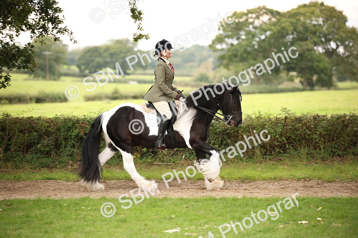 SBM_73441 - S68 - Traditional Cob Ridden
