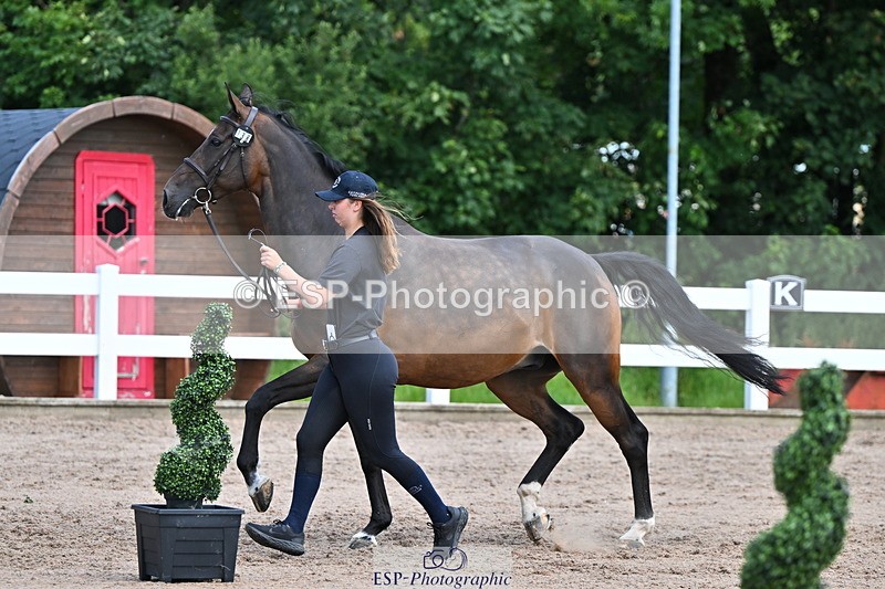 240718A-105252-01268 - Trot Up 12pm to 1pm