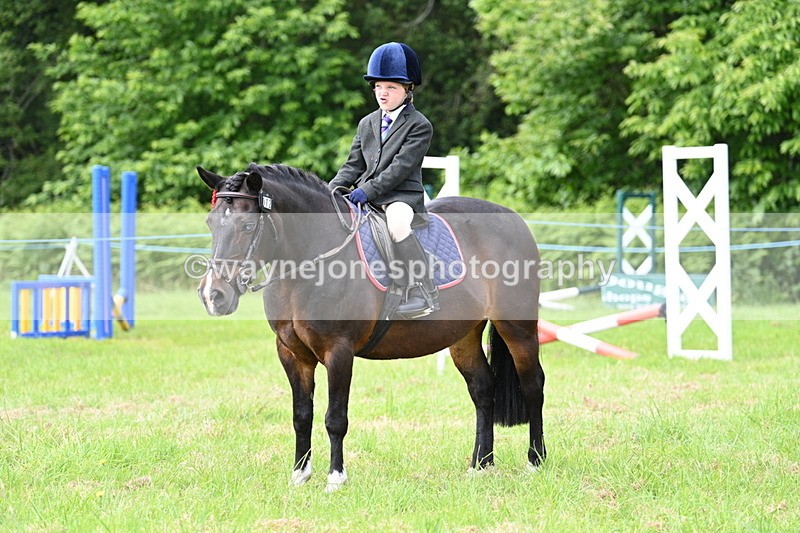 WJ7_0973 - Class 8 First Rally Pony