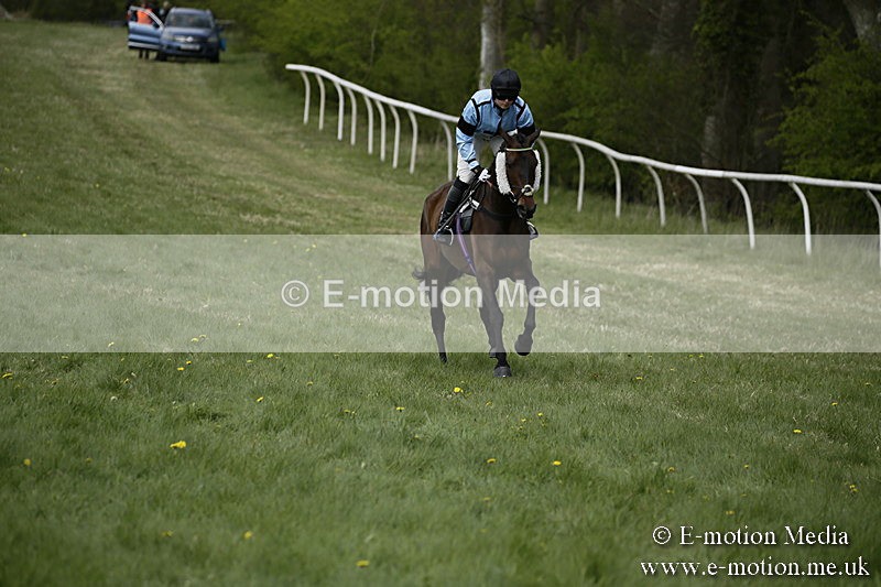 PtP 170417 59 - Old Berks Point-to-Point Lockinge 17/04/17