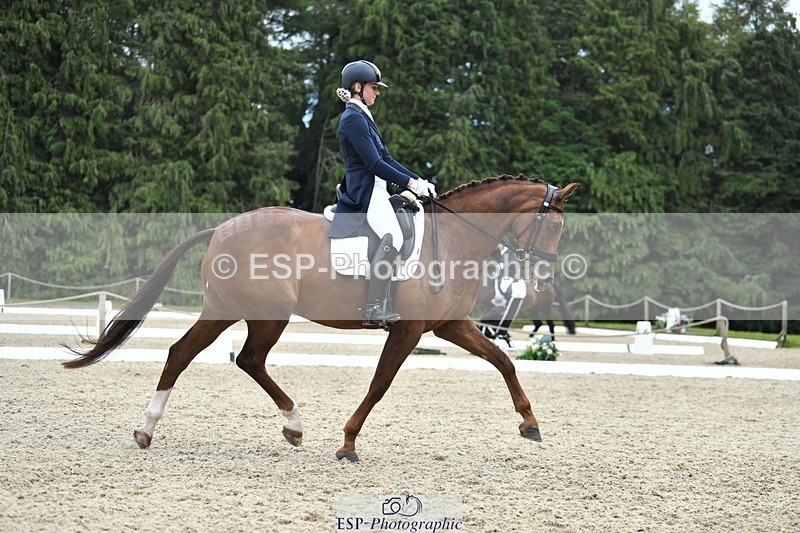 230812-140723-04607 - Cls 7 FEI PSG Bronze