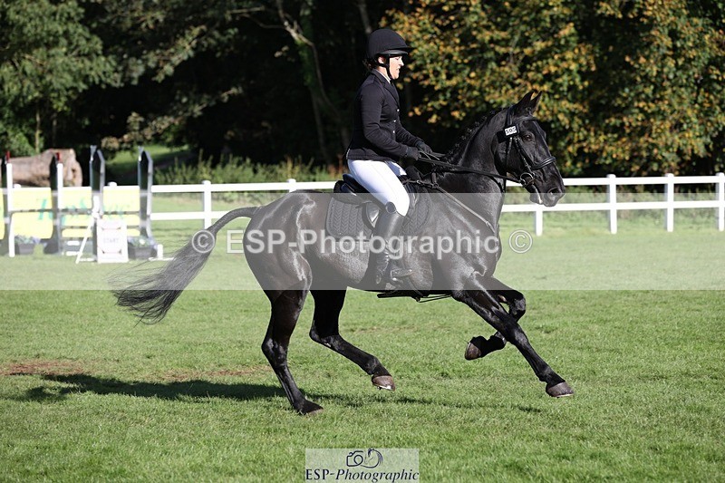 231022-143352-28208 - 505-MR.DARCY-Eleanor.Newcombe-TrotUp+SJ