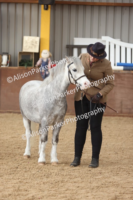 20251109-0660 - Class 22 - Geldings 4 Years and over