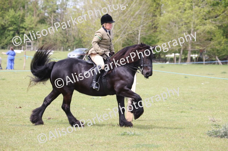 20260426-2994 - Class 33 - Best Pony 14.2hh and Under