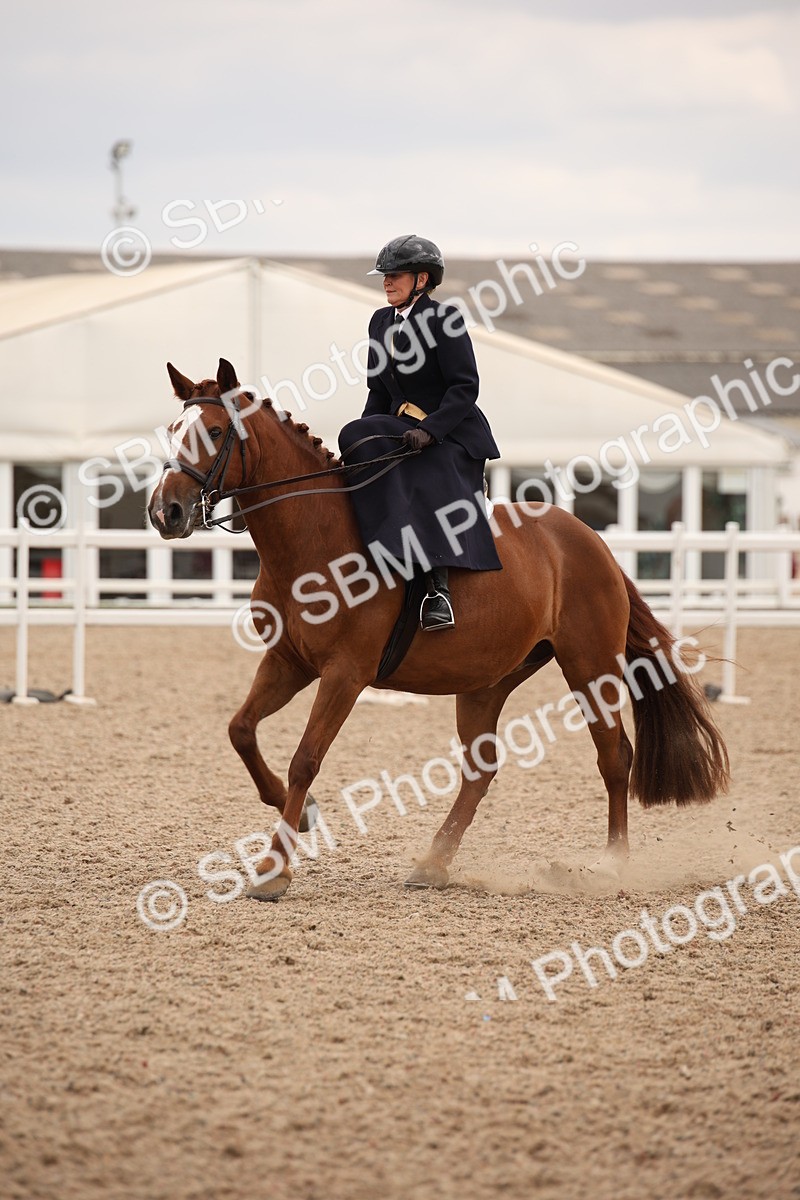 SBM_05476 - Class 22 SSA Equitation