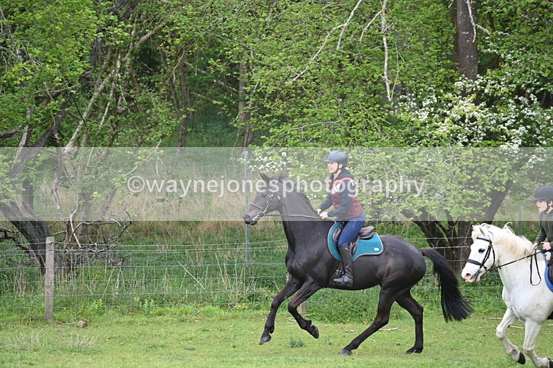 WJ6_2999 - A Camera