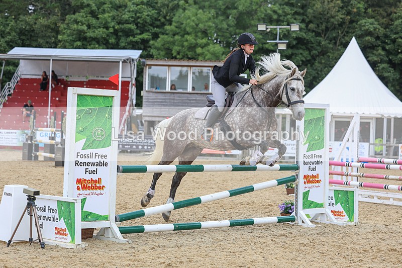 3E7A4678 - Class 4: Senior British Novice/90cm open
