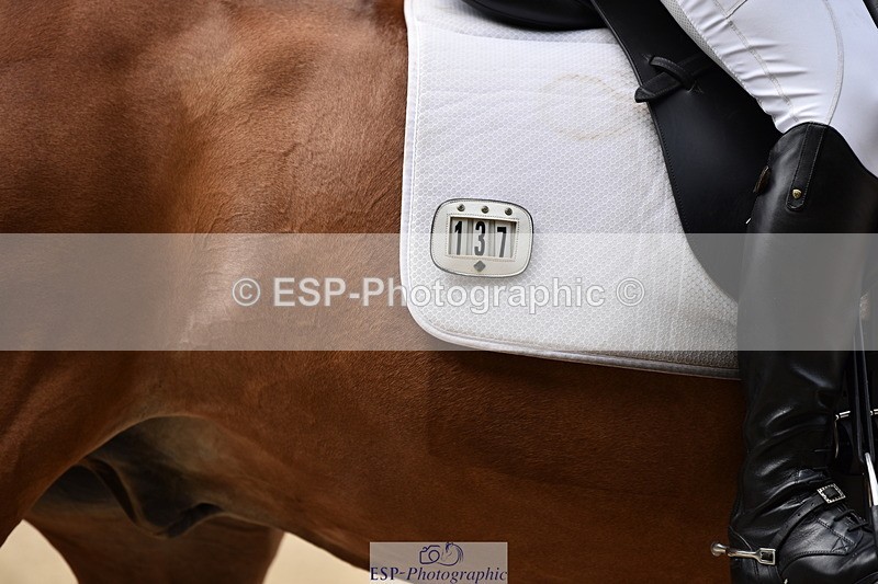 140110A-003838-10682 - 137-Debbie.Dyke-The.Trojan