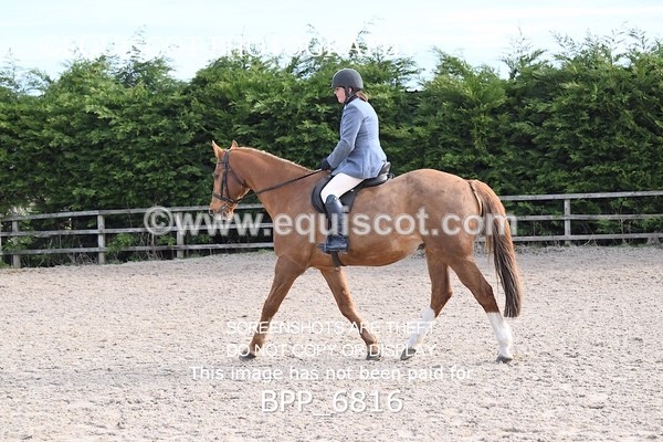 BPP_6816 - RING 1  (RIDDEN HORSES / IN HAND / VETERAN ETC)