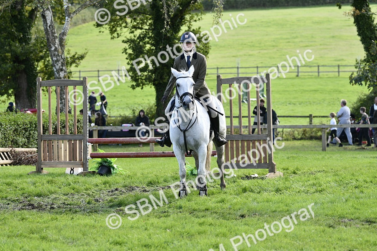 SBM_45747 - S33 - Working Hunter Pony
