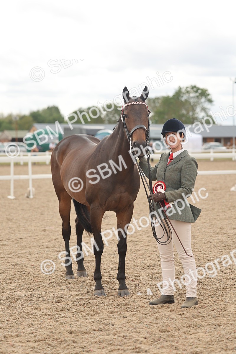 SBM_17147 - Class 313 - IH Retired Racehorse