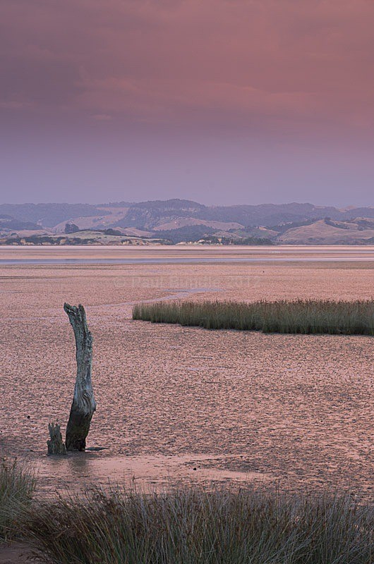 Kawhia Harbour sunset - New Zealand North Island