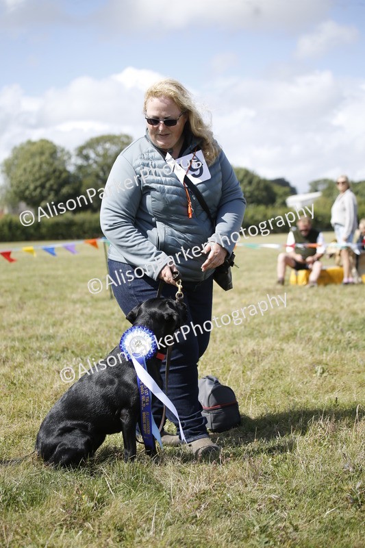 20250831-3719 - Dog Show
