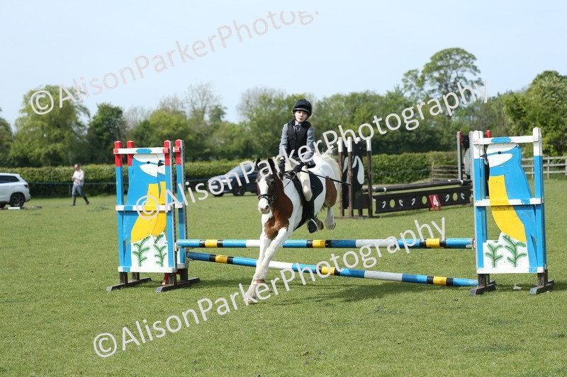 20260426-1767 - Class 14 - Novice 60cm