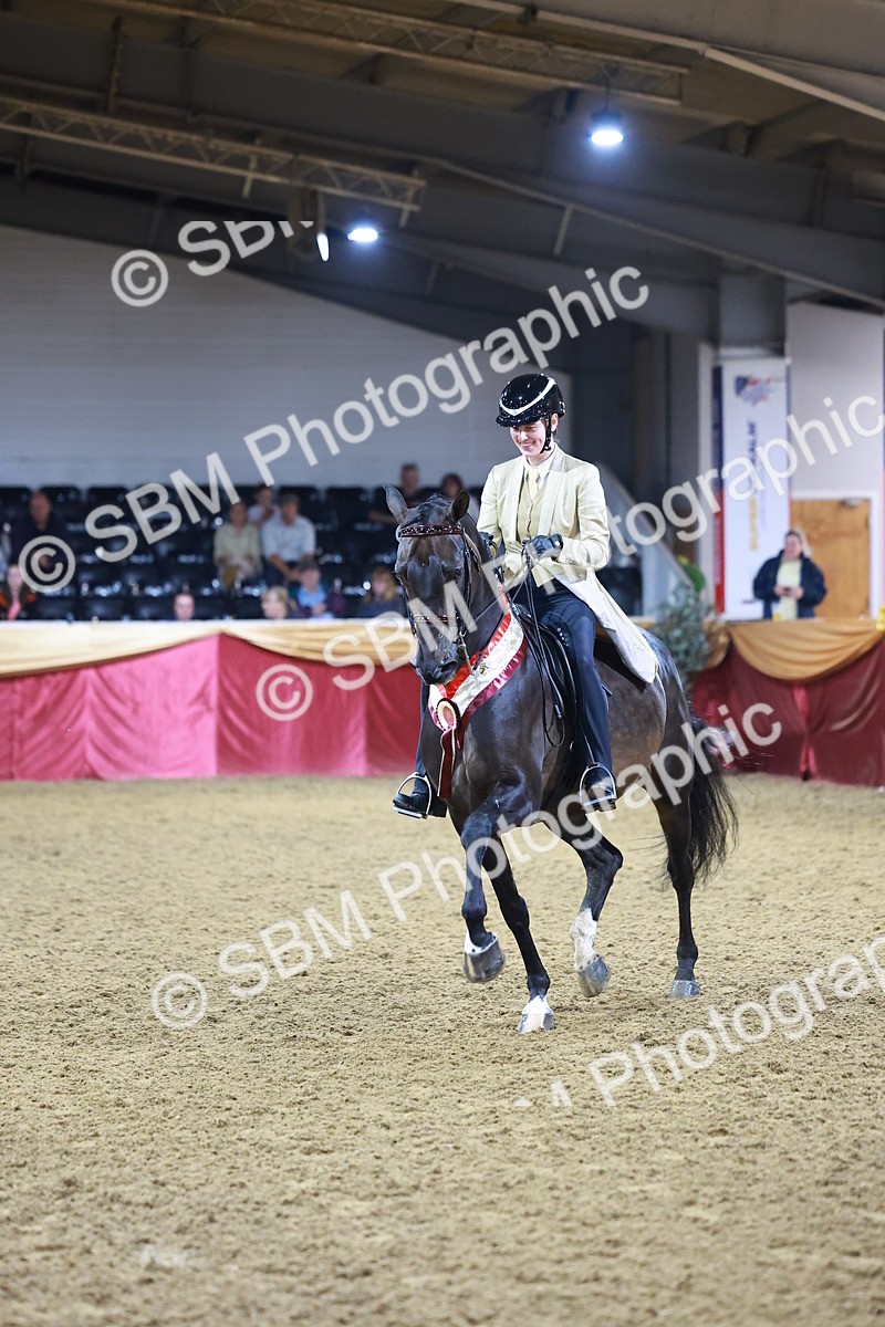 SBM_15577 - Class R - Veteran Champ
