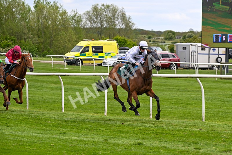 110526-Race 3-Laravie-0682 - Race 3 3.30pm Mick Rose Turns 70 Handicap